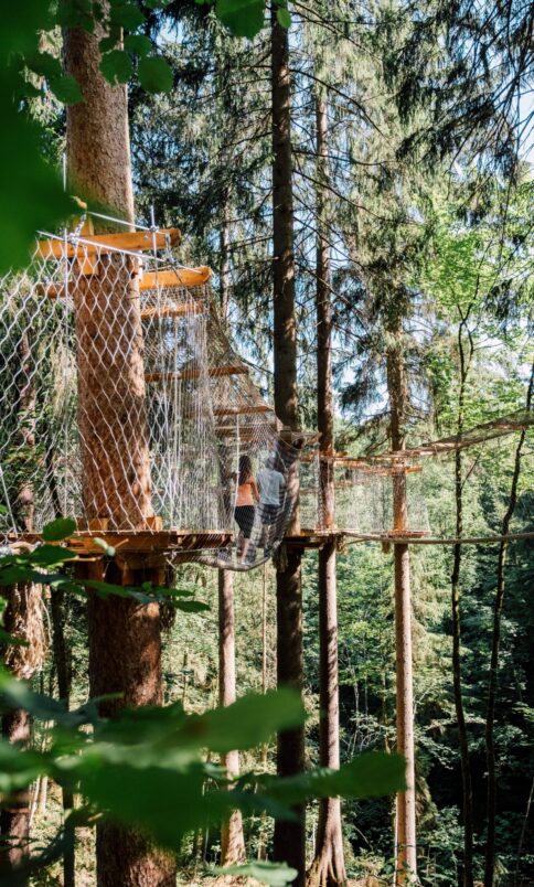 Beim Baumparcours im Wald von JO St. Johann kann man selbstständig klettern und die Natur erleben.
