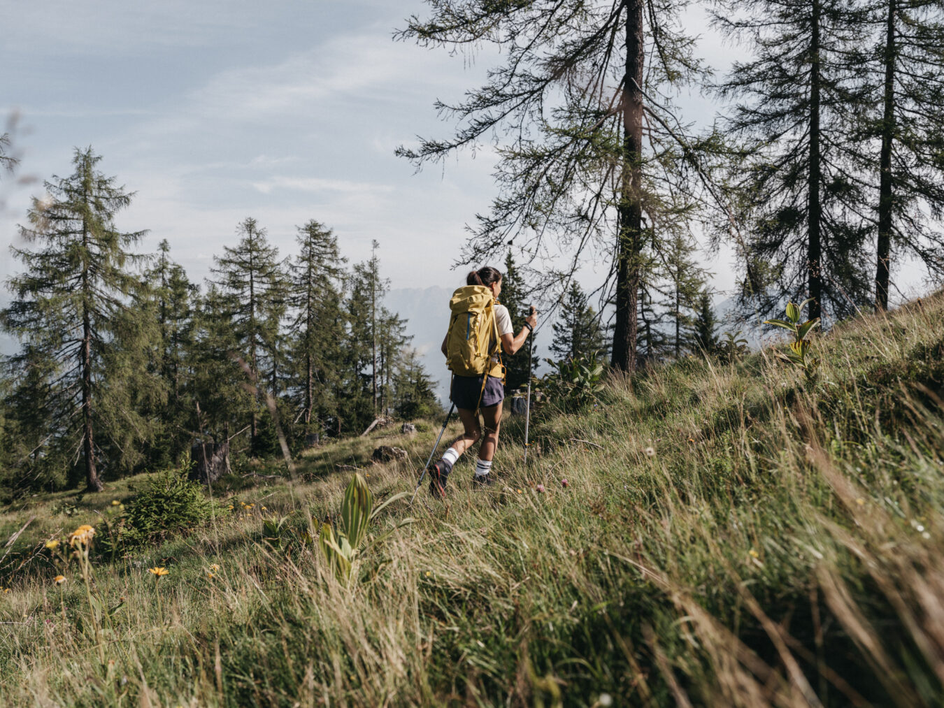 Frau beim Wandern im Salzburger Land
