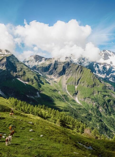 Ausflugsziel im Alpina Alpendorf, der Grossglockner