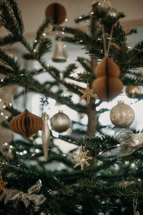 Weihnachten im Alpina Alpendorf